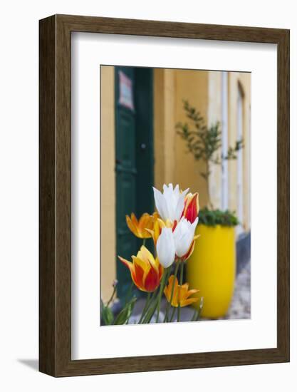 Denmark, Jutland, Ribe, Street and Flowers-Walter Bibikow-Framed Photographic Print