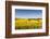 Denmark, Mon, Magleby, Farm and Rapeseed Field, Springtime, Dawn-Walter Bibikow-Framed Photographic Print