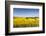 Denmark, Mon, Magleby, Farm and Rapeseed Field, Springtime, Dawn-Walter Bibikow-Framed Photographic Print