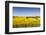 Denmark, Mon, Magleby, Farm and Rapeseed Field, Springtime, Dawn-Walter Bibikow-Framed Photographic Print