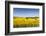 Denmark, Mon, Magleby, Farm and Rapeseed Field, Springtime, Dawn-Walter Bibikow-Framed Photographic Print