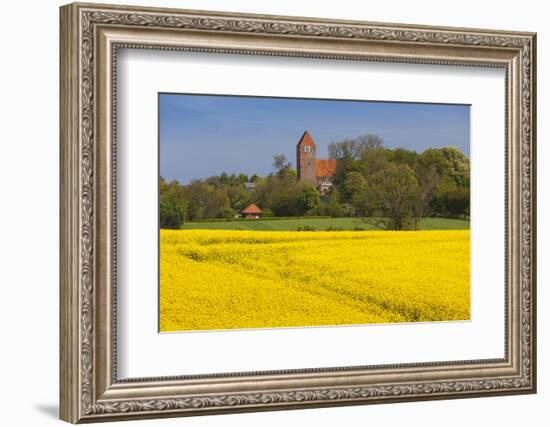 Denmark, Mon, Magleby, Town Church and Rapeseed Field, Springtime, Dawn-Walter Bibikow-Framed Photographic Print