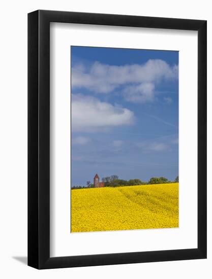 Denmark, Mon, Magleby, Town Church and Rapeseed Field, Springtime, Dawn-Walter Bibikow-Framed Photographic Print