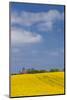 Denmark, Mon, Magleby, Town Church and Rapeseed Field, Springtime, Dawn-Walter Bibikow-Mounted Photographic Print