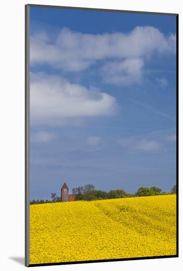Denmark, Mon, Magleby, Town Church and Rapeseed Field, Springtime, Dawn-Walter Bibikow-Mounted Photographic Print