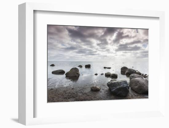 Denmark, Mon, Mons Klimt, 130 Meter-High Chalk Cliffs from the Shore-Walter Bibikow-Framed Photographic Print