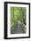 Denmark, Mon, Mons Klimt, Boardwalk to the Cliffs-Walter Bibikow-Framed Photographic Print