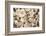 Denmark, Zealand, Copenhagen, Torvehallerne Kph, Mushrooms-Walter Bibikow-Framed Photographic Print