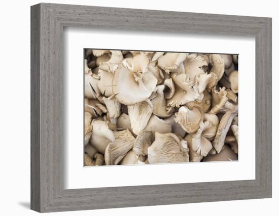 Denmark, Zealand, Copenhagen, Torvehallerne Kph, Mushrooms-Walter Bibikow-Framed Photographic Print