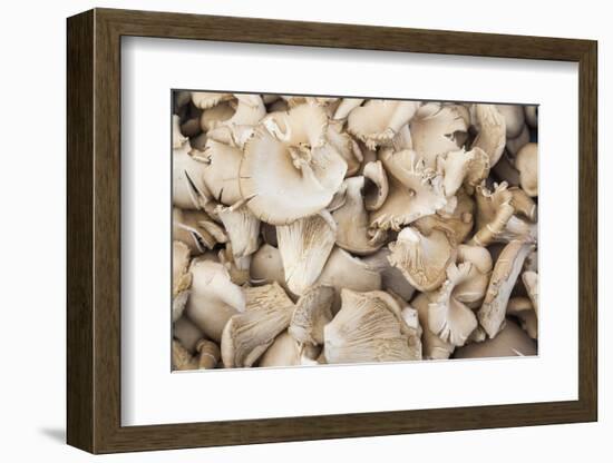 Denmark, Zealand, Copenhagen, Torvehallerne Kph, Mushrooms-Walter Bibikow-Framed Photographic Print