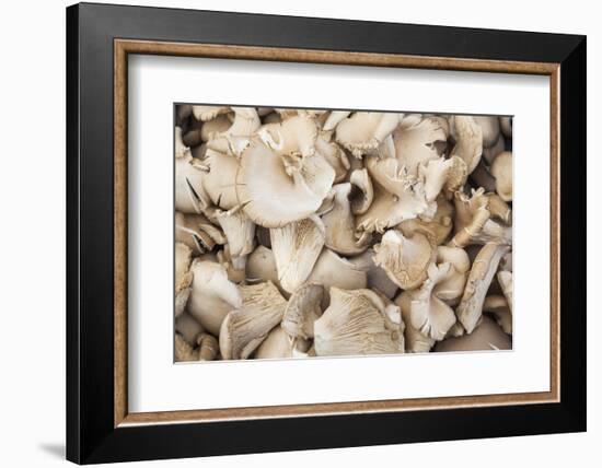 Denmark, Zealand, Copenhagen, Torvehallerne Kph, Mushrooms-Walter Bibikow-Framed Photographic Print