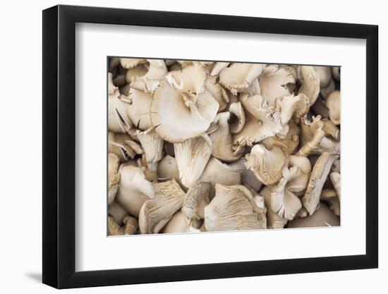 Denmark, Zealand, Copenhagen, Torvehallerne Kph, Mushrooms-Walter Bibikow-Framed Photographic Print