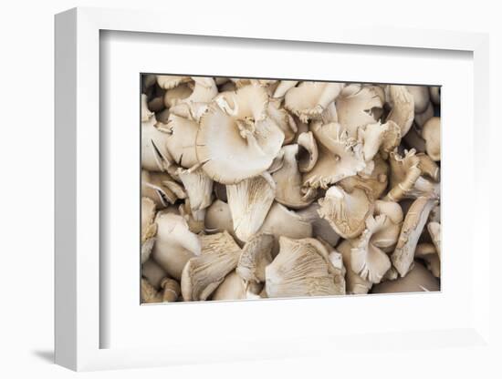 Denmark, Zealand, Copenhagen, Torvehallerne Kph, Mushrooms-Walter Bibikow-Framed Photographic Print