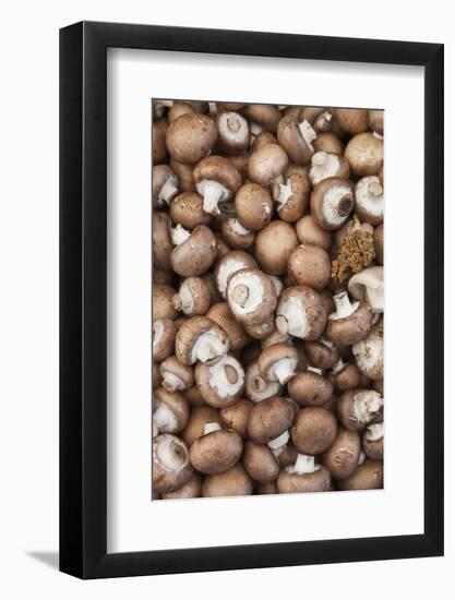 Denmark, Zealand, Copenhagen, Torvehallerne Kph, Mushrooms-Walter Bibikow-Framed Photographic Print