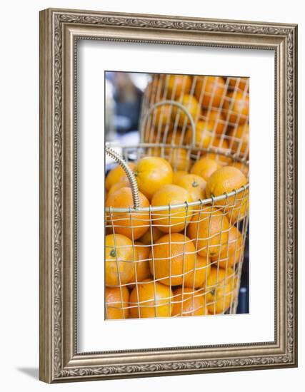 Denmark, Zealand, Copenhagen, Torvehallerne Kph, Oranges-Walter Bibikow-Framed Photographic Print