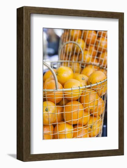 Denmark, Zealand, Copenhagen, Torvehallerne Kph, Oranges-Walter Bibikow-Framed Photographic Print