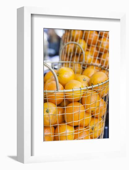 Denmark, Zealand, Copenhagen, Torvehallerne Kph, Oranges-Walter Bibikow-Framed Photographic Print