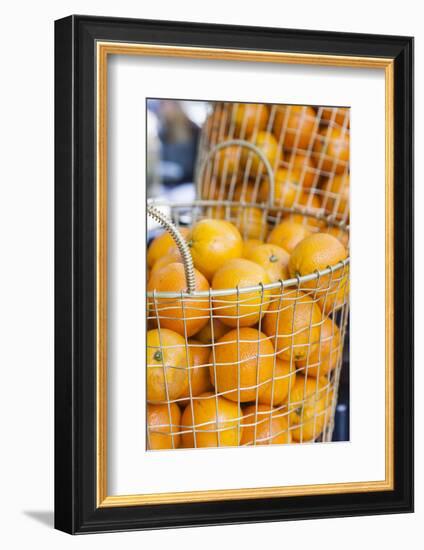 Denmark, Zealand, Copenhagen, Torvehallerne Kph, Oranges-Walter Bibikow-Framed Photographic Print