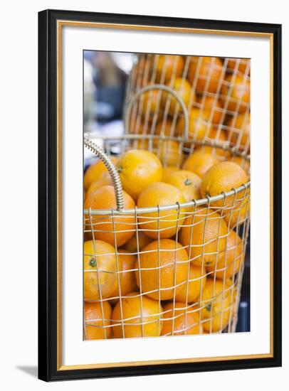 Denmark, Zealand, Copenhagen, Torvehallerne Kph, Oranges-Walter Bibikow-Framed Photographic Print