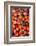 Denmark, Zealand, Copenhagen, Torvehallerne Kph, Tomatoes-Walter Bibikow-Framed Photographic Print