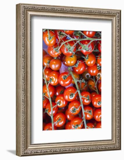 Denmark, Zealand, Copenhagen, Torvehallerne Kph, Tomatoes-Walter Bibikow-Framed Photographic Print
