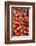 Denmark, Zealand, Copenhagen, Torvehallerne Kph, Tomatoes-Walter Bibikow-Framed Photographic Print