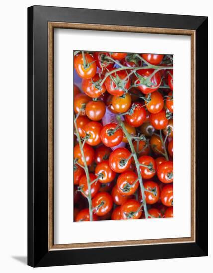 Denmark, Zealand, Copenhagen, Torvehallerne Kph, Tomatoes-Walter Bibikow-Framed Photographic Print