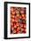 Denmark, Zealand, Copenhagen, Torvehallerne Kph, Tomatoes-Walter Bibikow-Framed Photographic Print