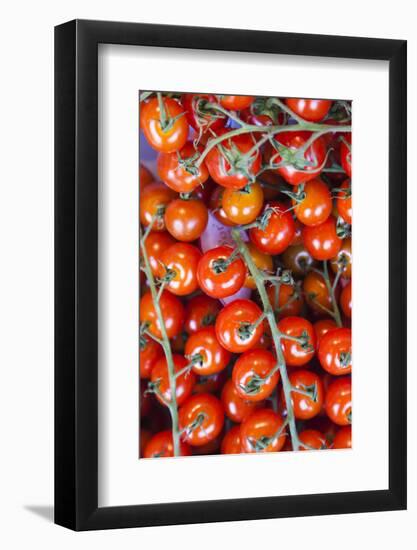 Denmark, Zealand, Copenhagen, Torvehallerne Kph, Tomatoes-Walter Bibikow-Framed Photographic Print