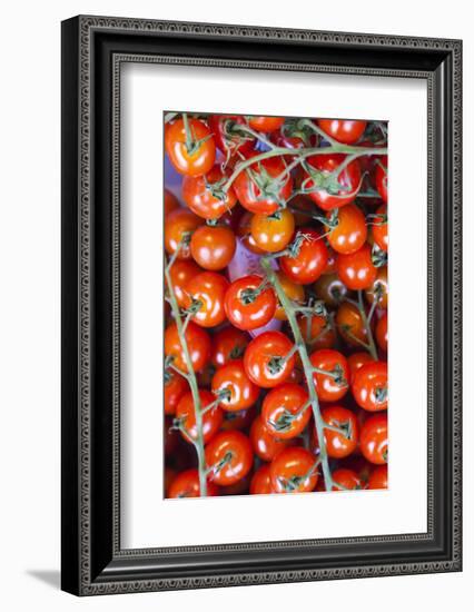 Denmark, Zealand, Copenhagen, Torvehallerne Kph, Tomatoes-Walter Bibikow-Framed Photographic Print