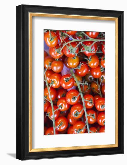 Denmark, Zealand, Copenhagen, Torvehallerne Kph, Tomatoes-Walter Bibikow-Framed Photographic Print