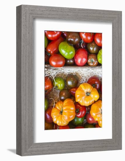 Denmark, Zealand, Copenhagen, Torvehallerne Kph, Tomatoes-Walter Bibikow-Framed Photographic Print