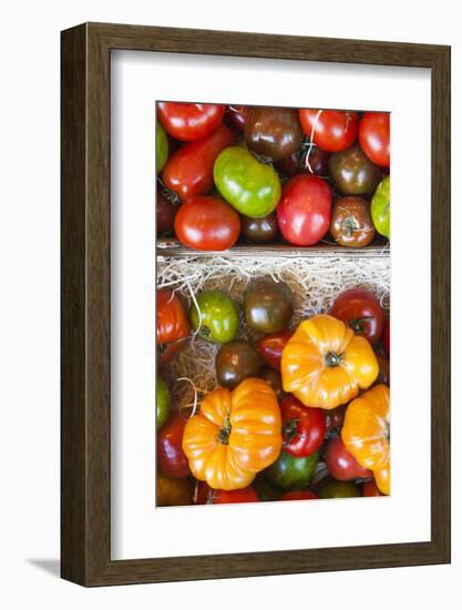 Denmark, Zealand, Copenhagen, Torvehallerne Kph, Tomatoes-Walter Bibikow-Framed Photographic Print