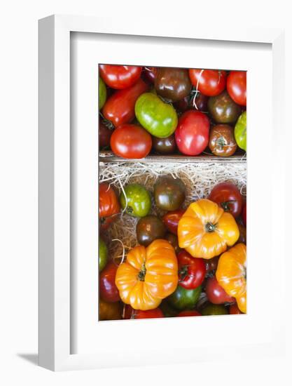 Denmark, Zealand, Copenhagen, Torvehallerne Kph, Tomatoes-Walter Bibikow-Framed Photographic Print