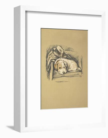 Denna, Sealyham Terrier-Lucy Dawson-Framed Premium Giclee Print