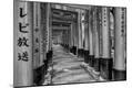 Photographic Print