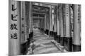 Photographic Print