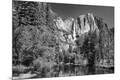 Premium Photographic Print