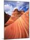 Premium Photographic Print