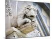 Premium Photographic Print