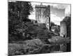 Photographic Print
