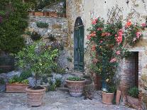 Flowers in a Window In a Tuscan Village, San Quirico d'Orcia, Italy-Dennis Flaherty-Photographic Print