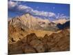 Photographic Print
