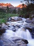 The Virgin River Flows Through the Narrows, Zion National Park, Utah, Usa-Dennis Flaherty-Photographic Print