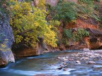 The Virgin River Flows Through the Narrows, Zion National Park, Utah, Usa-Dennis Flaherty-Photographic Print