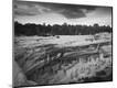 Photographic Print