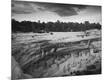 Photographic Print