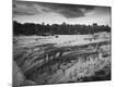 Photographic Print