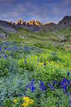 Stream Runs Through Lamoille Canyon in the Ruby Mountains, Nevada, Usa-Dennis Flaherty-Photographic Print