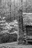 USA, Tennessee, Great Smoky Mountains NP. Dirt Road in Cades Cove-Dennis Flaherty-Photographic Print